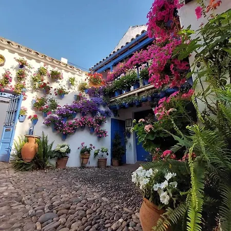 Tu Casa En Facil Aparcamiento Holiday home Cordoba